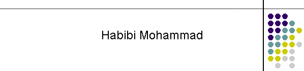 Habibi Mohammad